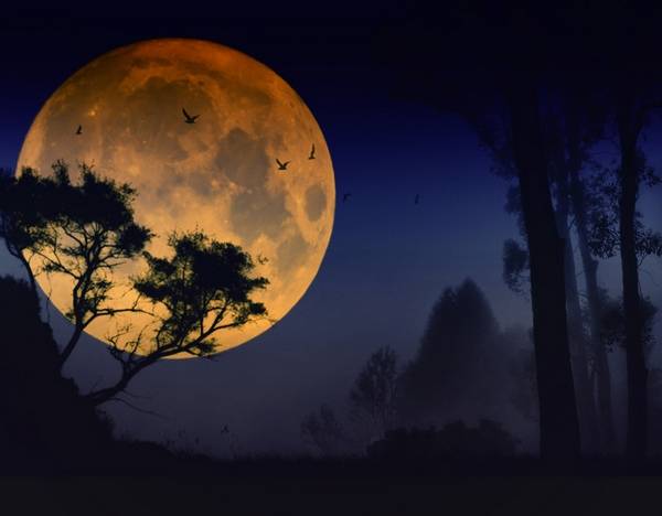 دانلود آهنگ آره من عاشقت هستم بیا سرزنش کن 